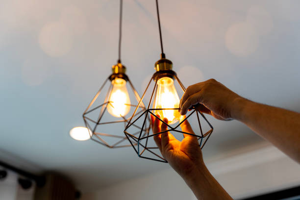 Best Electric Panel Repair  in Luck, WI